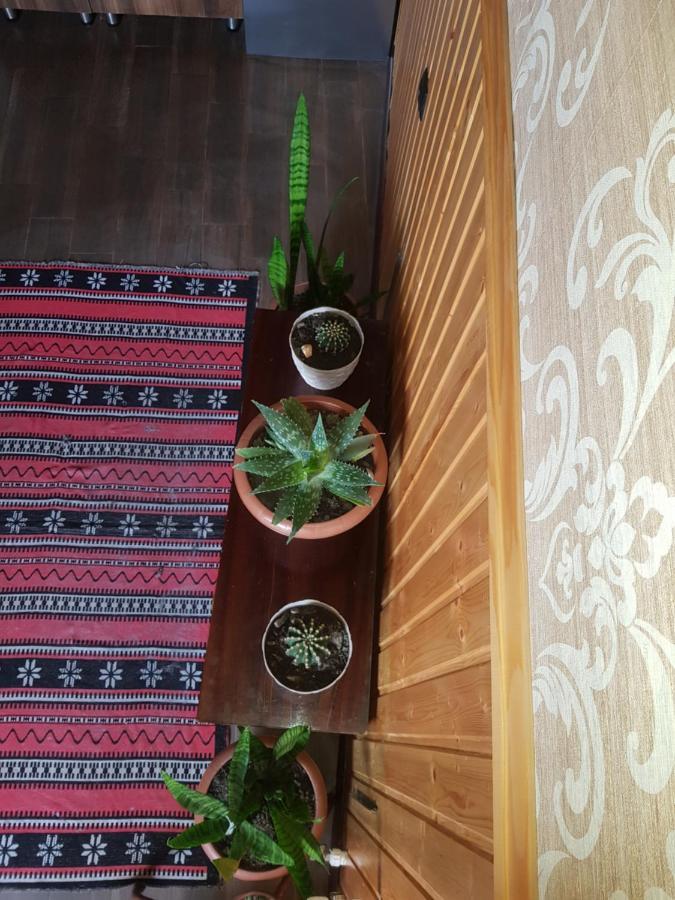 Cozy House Kazbegi Hotel Ngoại thất bức ảnh