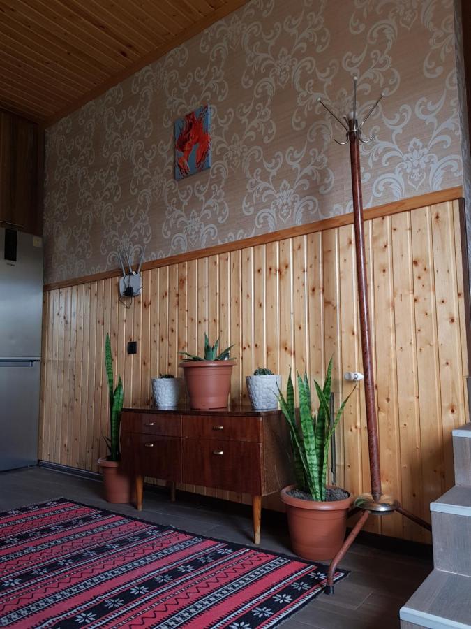 Cozy House Kazbegi Hotel Ngoại thất bức ảnh